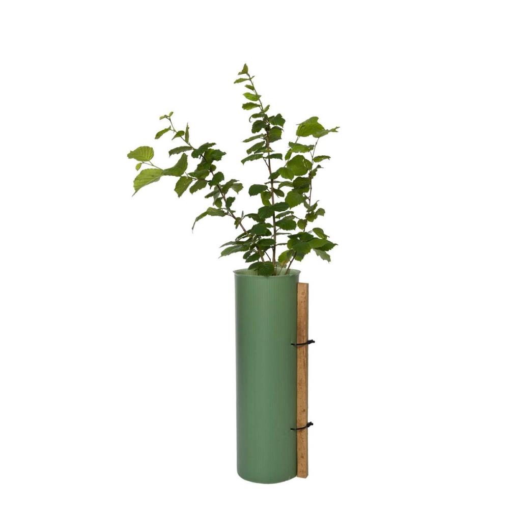 TUBEX Shrubshelter, Wuchshülle für Sträucher, 60cm