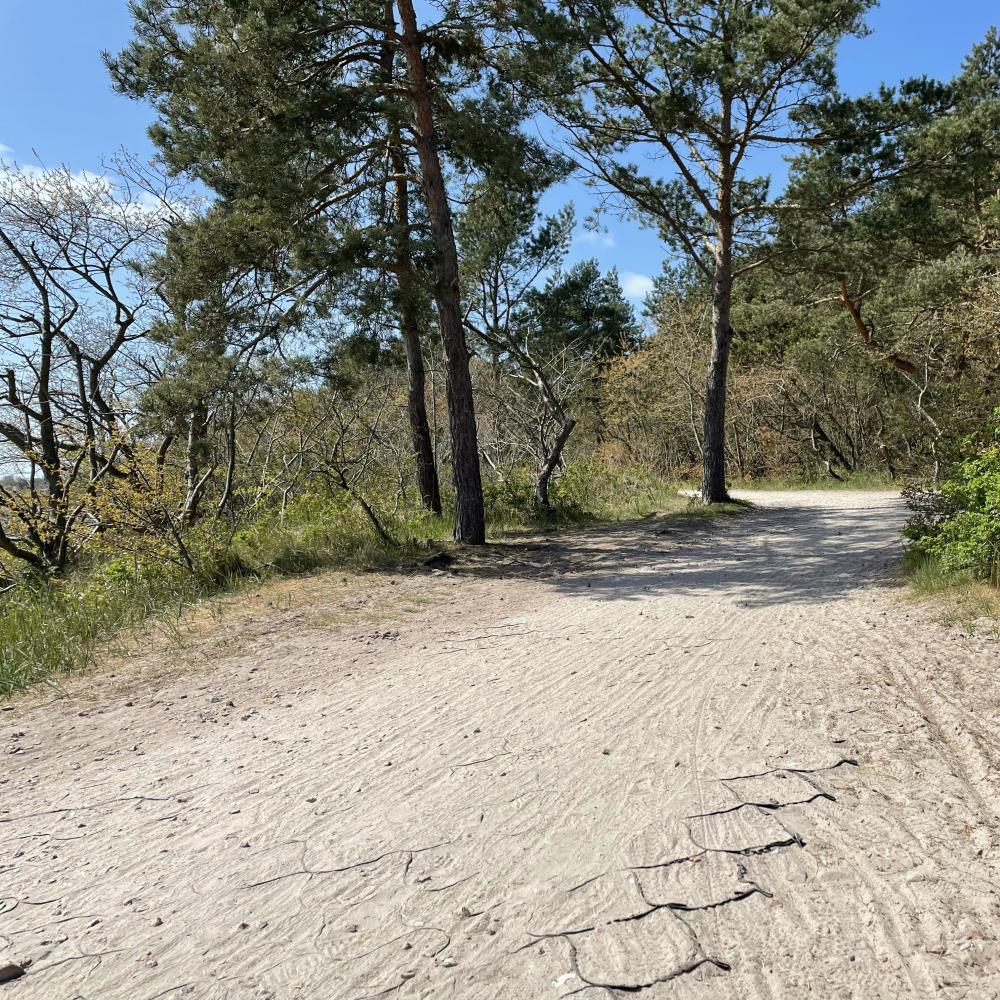 TERRAM Geozelle 25/10 (7 x 5m), Wurzelbrücke für leichte Fahrzeuge