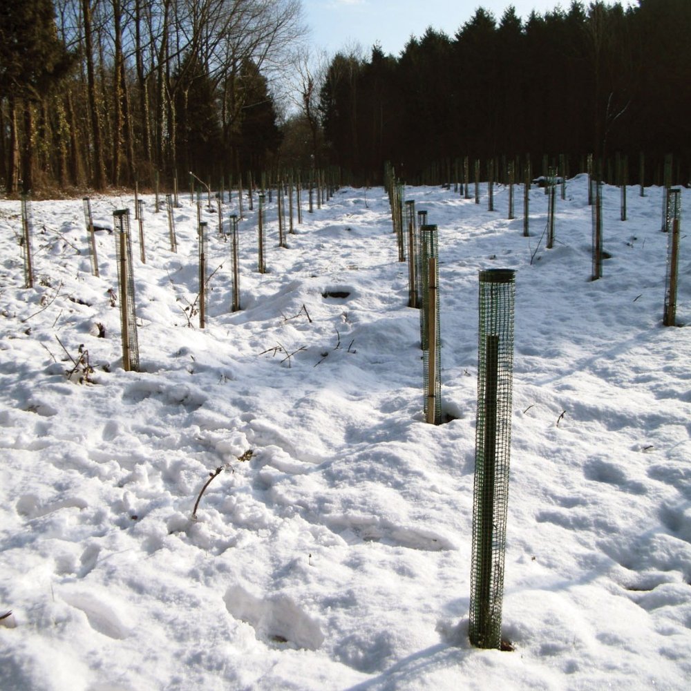 TUBEX Treeguard Baumschutz-Gitter-Röhre zum Fege- und Verbissschutz 1,2m, Ø 80-110mm