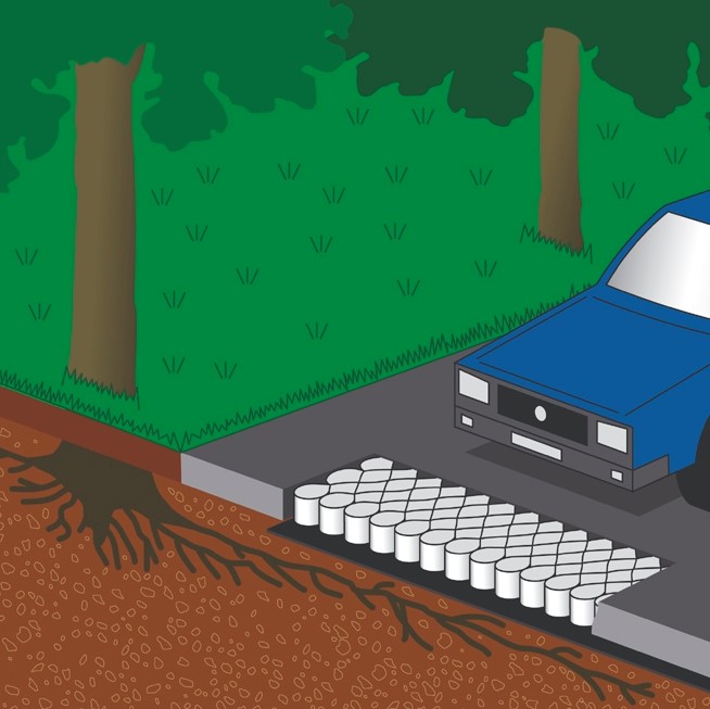 TERRAM Geozelle 25/10 (7 x 5m), Wurzelbrücke für leichte Fahrzeuge