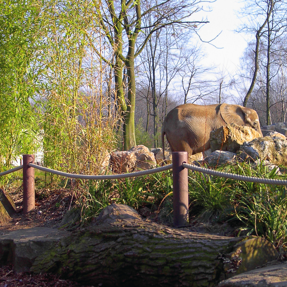 Rundpfosten mit Spitze Ø 6cm, 150cm, braun