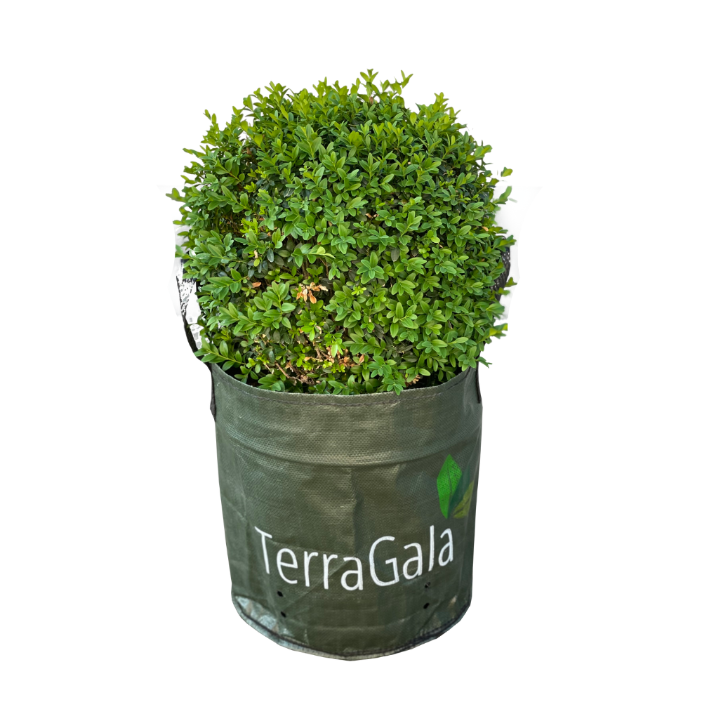 TerraGala Pflanzsack, Gartensack, Laubsack, 15l, Ø30cm, Höhe: 30cm