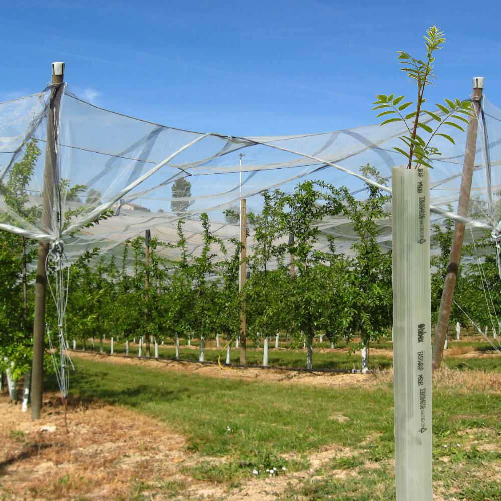 TUBEX Easywrap, Verbissschutz für Obstbäume, 60cm Höhe