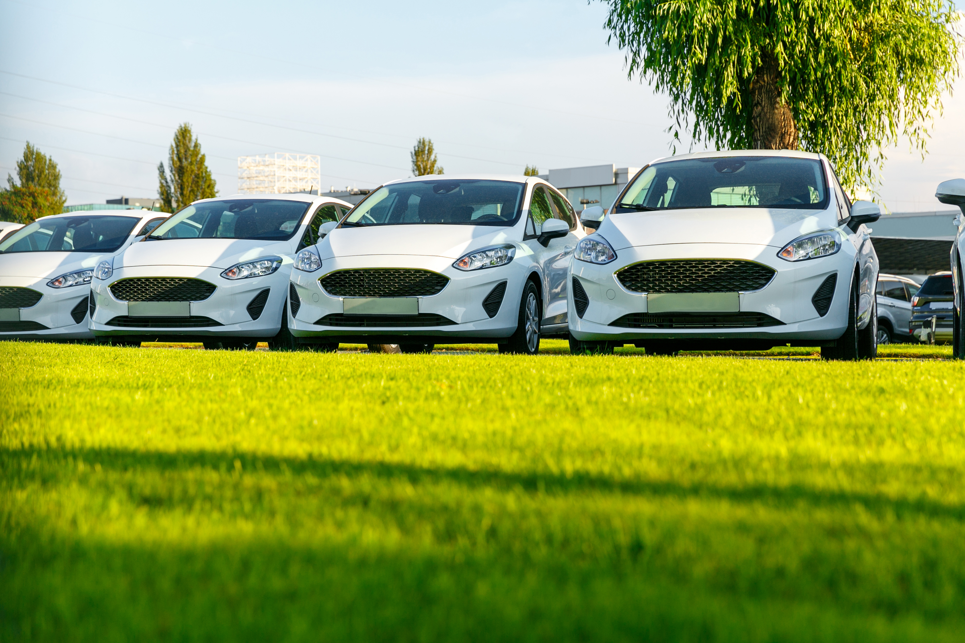 Autos auf Rasenparkplatz