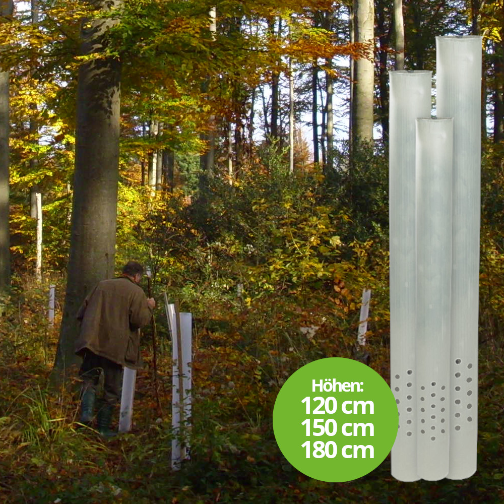 Tubex Ventex Clear 1,2m, Wuchshülle und Verbissschutz für lichtarme Standorte, Ø 80-120mm