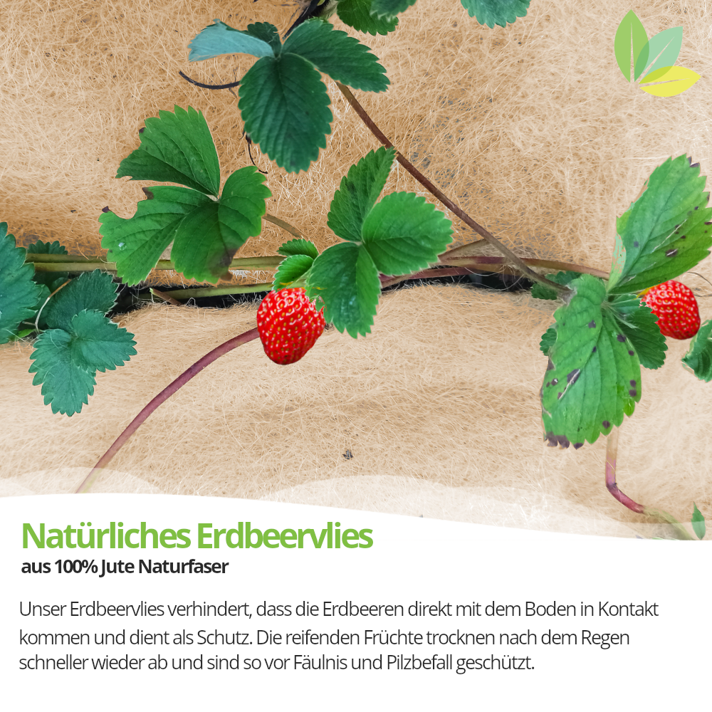 Erdbeervlies aus Jute, Mulchvlies für Erdbeerpflanzen, 1m x 5m