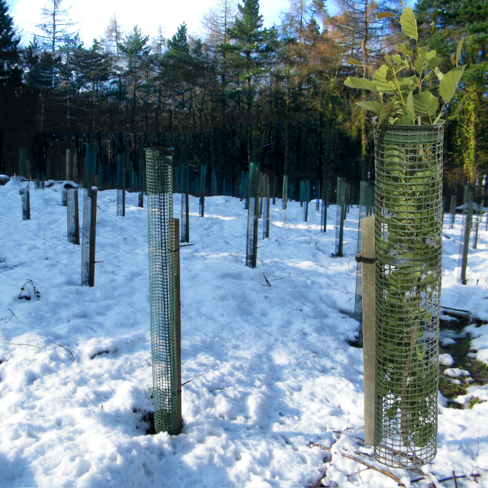 TUBEX Treeguard Baumschutz-Gitter-Röhre, Ø 80-110mm