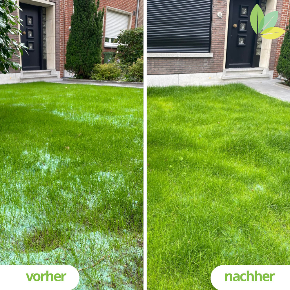 TurfProtecta® Rasenschutzgitter2x10m, plus 100 Befestigungshaken plus 20m² TURFquick