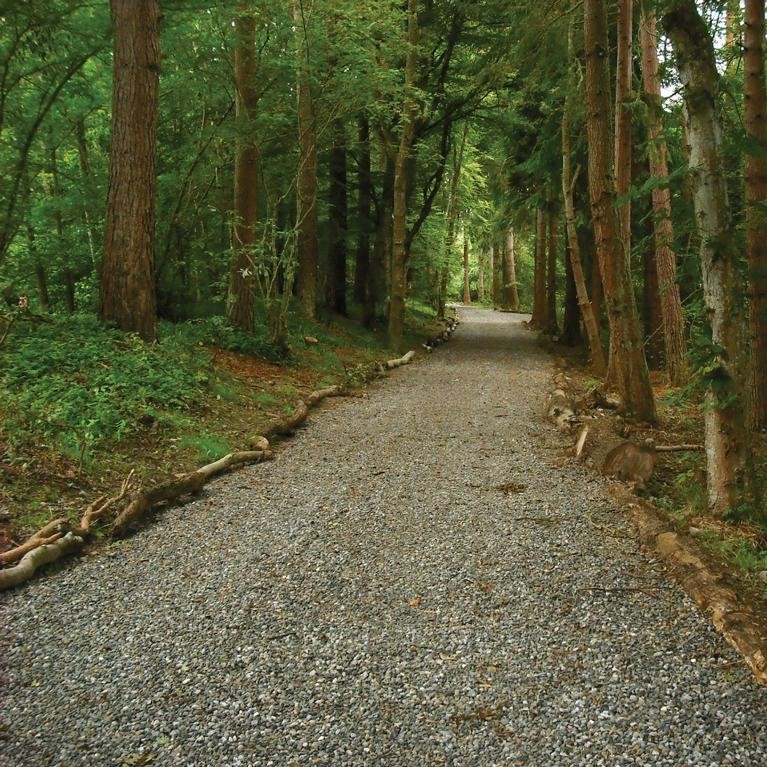 TERRAM Geozelle 25/10 (7 x 5m), Wurzelbrücke für leichte Fahrzeuge