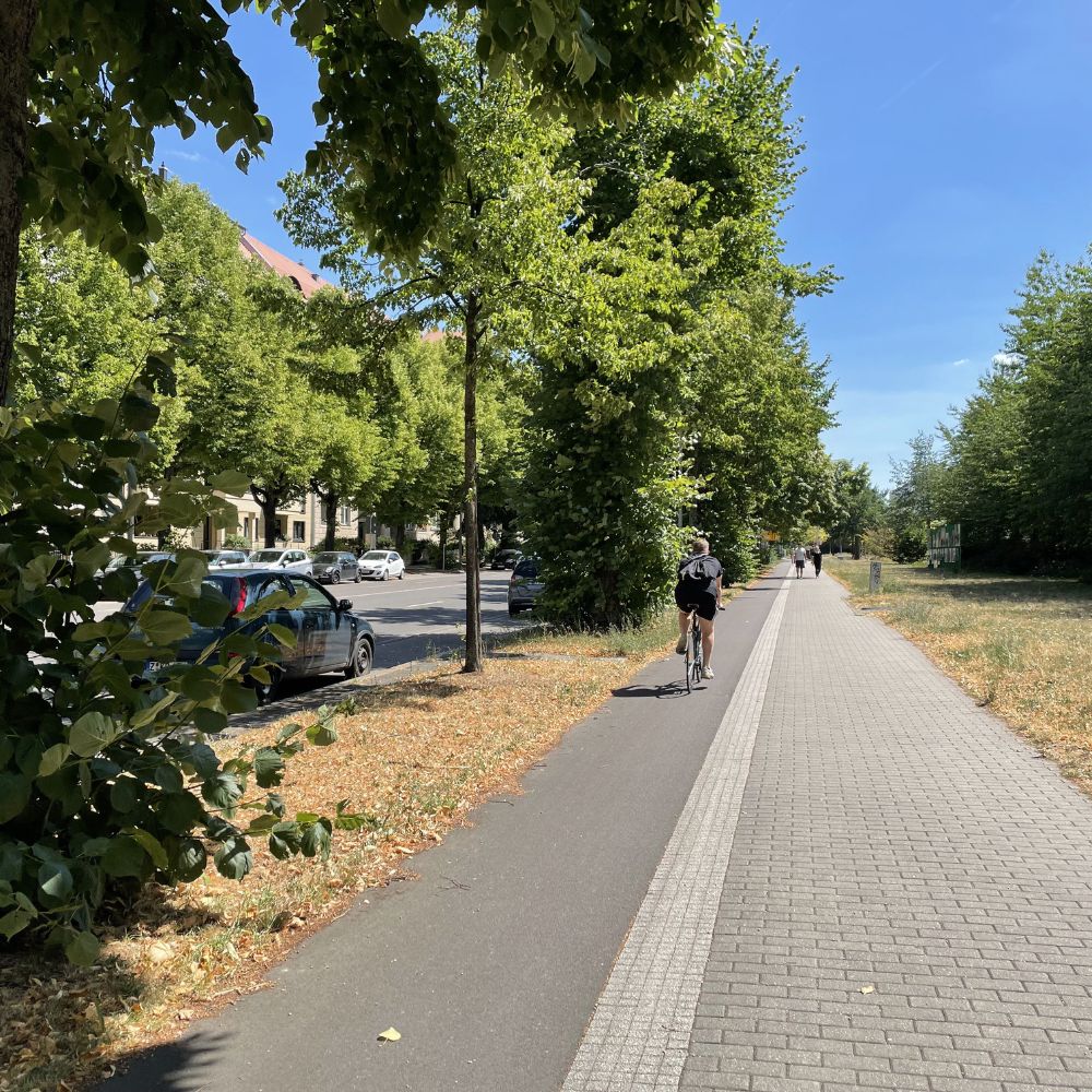 TERRAM Geozelle 22/20 (3 x 6m), Wurzelbrücke für schwere Fahrzeuge (LKW)