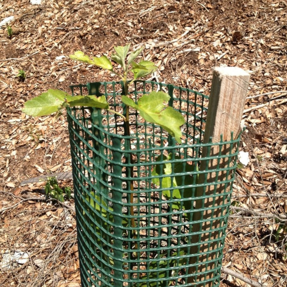 Treeguard Layflats, Baumschutz-Flach-Gitter zum Verbissschutz 1.2m, Ø20cm, grün