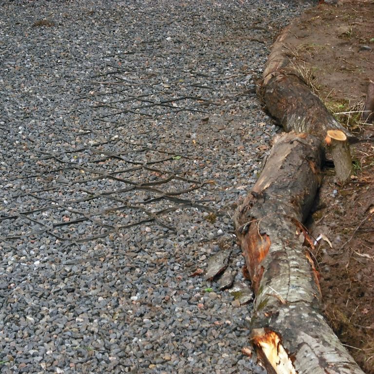 TERRAM Geozelle 25/10 (7 x 5m), Wurzelbrücke für leichte Fahrzeuge