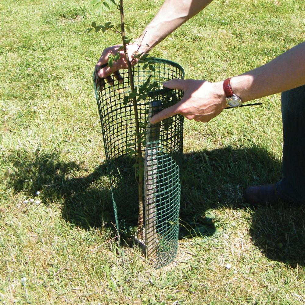 Treeguard Baumschutz-Gitter auf der Rolle, flexibler Verbissschutz, 0,6m x 50m, grün