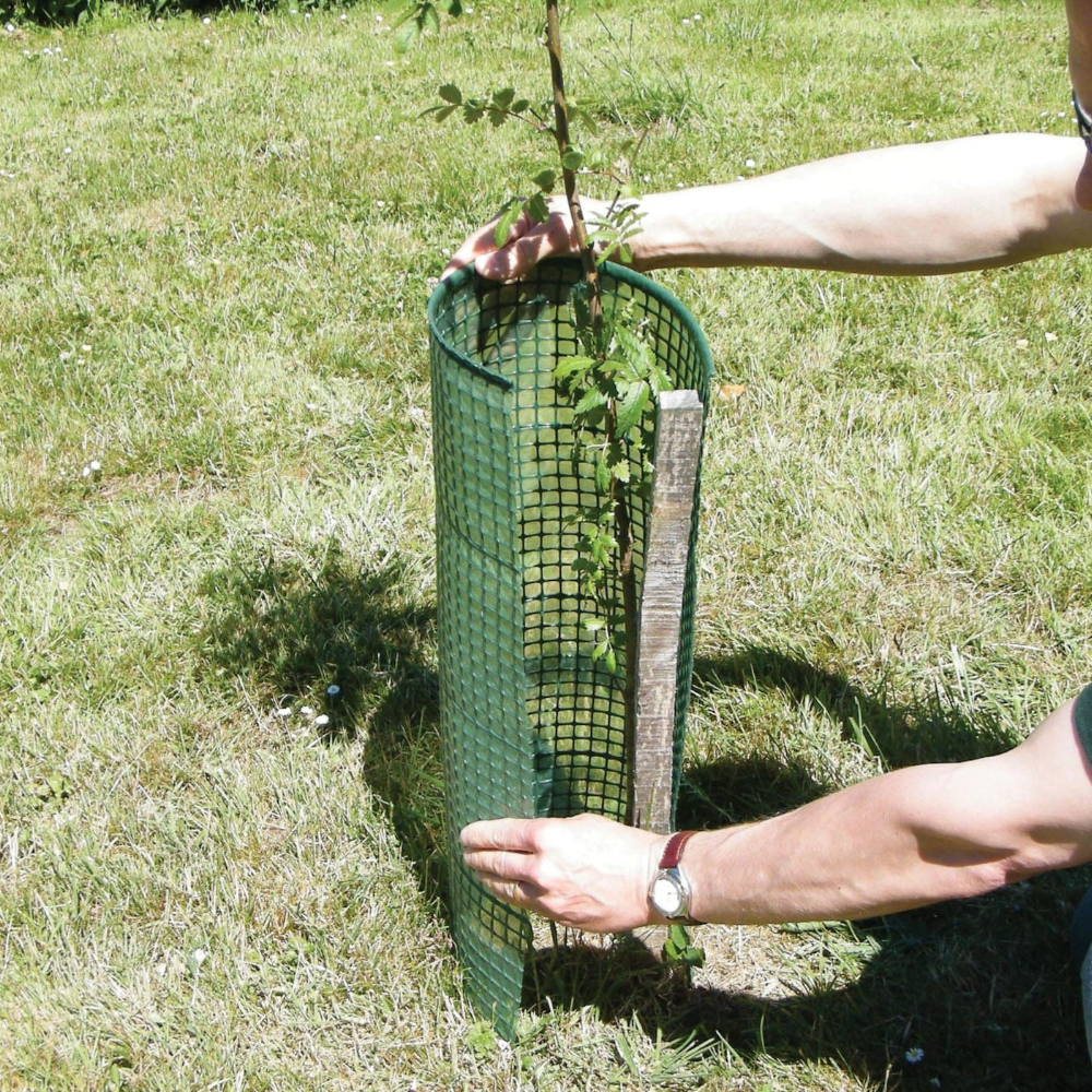 Shelterguard CutSheet, beschichtete Verbissschutz-Gitter-Bögen für Ø20cm