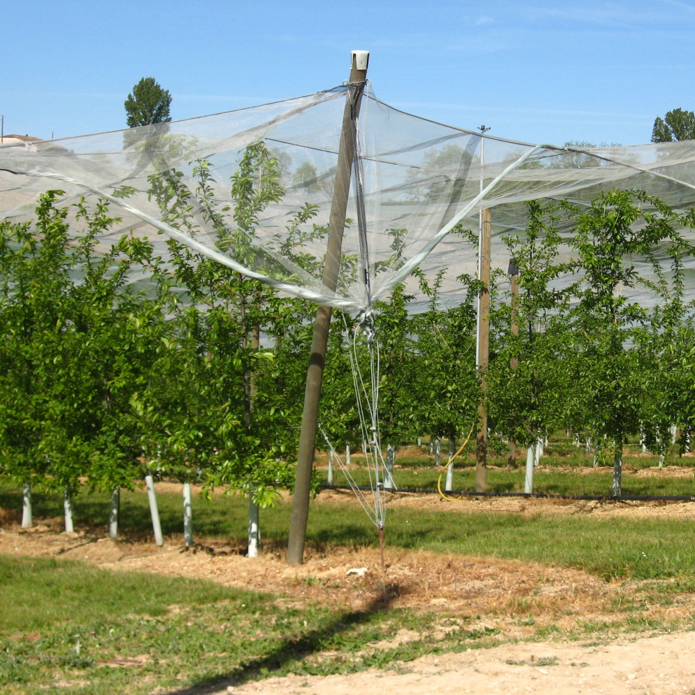 TUBEX Fruitwrap Obstbaumschutz, ab 60cm Höhe. Ø 65-80 mm