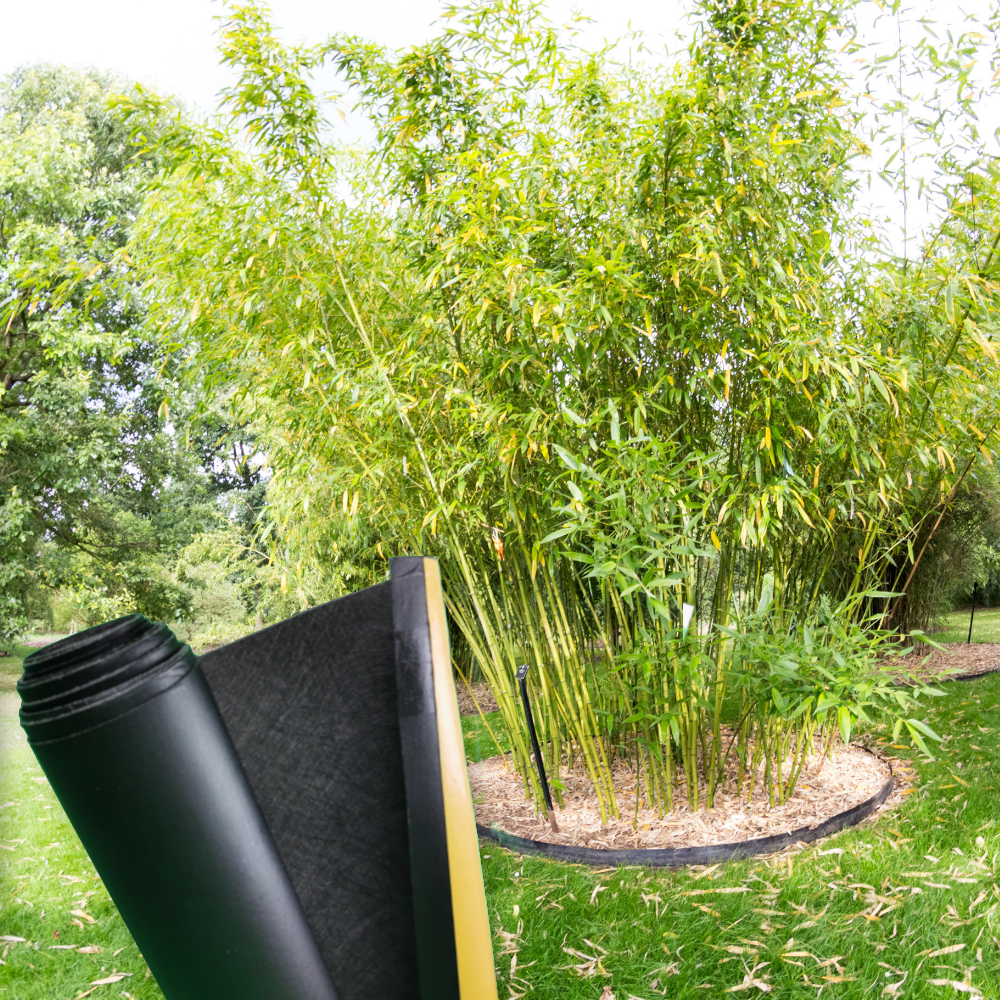 premiumgarden Wurzelsperre, Rhizomsperre, wirkungsvoller Schutz vor Wurzelwildwuchs, 0,66m x 3,5m