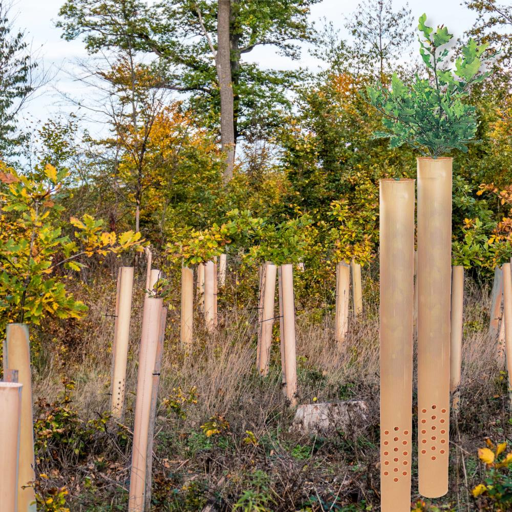 TUBEX Nature Wuchshüllen, biologisch abbaubar Ø 80-120mm