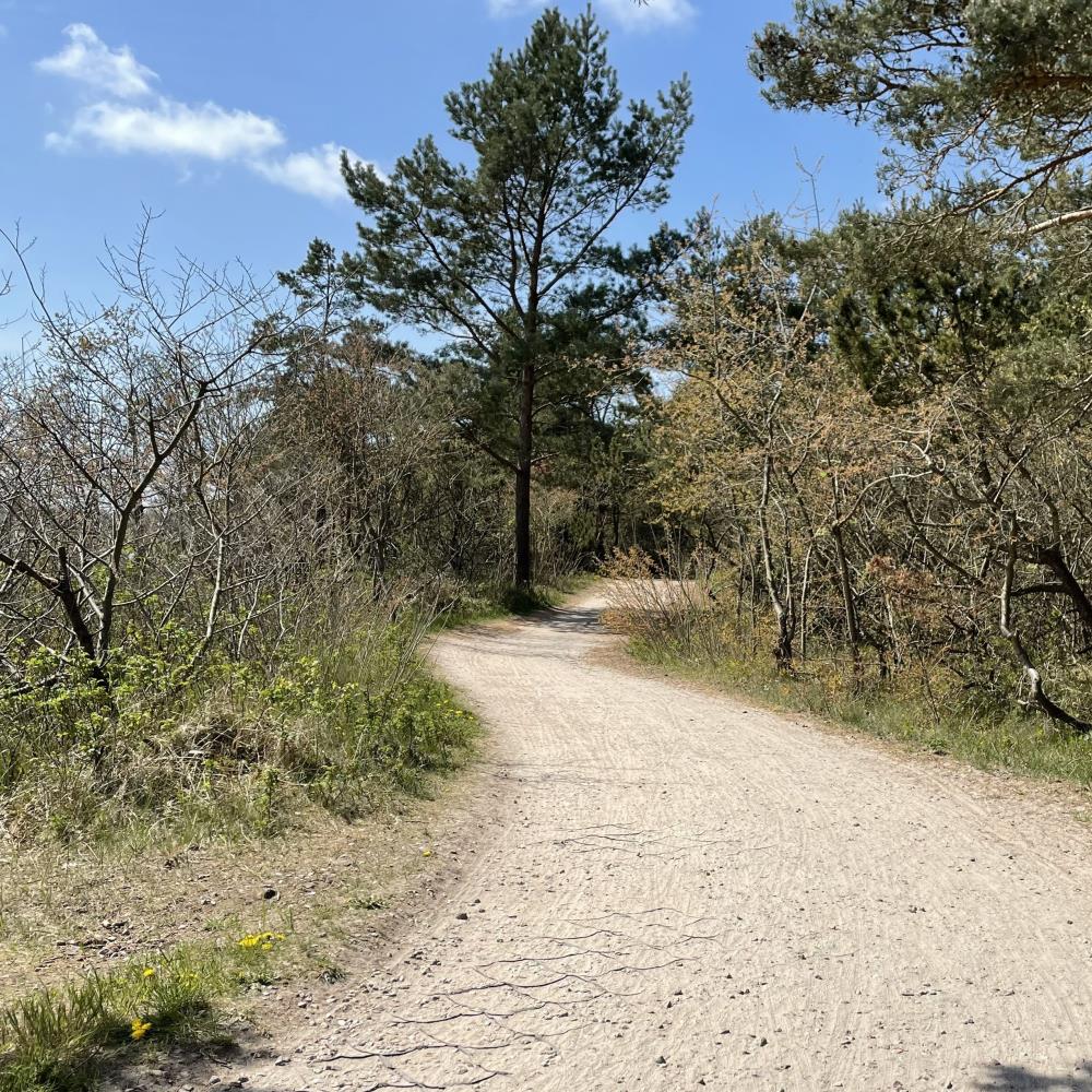 TERRAM Geozelle 25/10 (7 x 5m), Wurzelbrücke für leichte Fahrzeuge